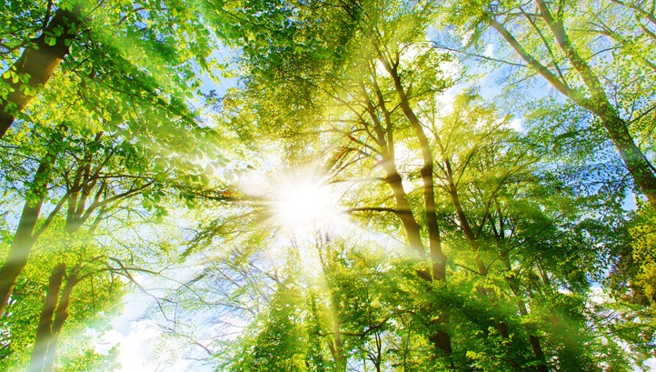 Building resilience for a real recovery: The challenge is six fold